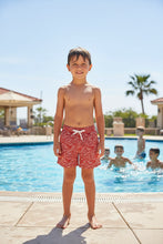 Load image into Gallery viewer, ELEPHANT SWIM - CRIMSON