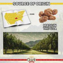 Load image into Gallery viewer, CHOCOLATE PECANS