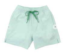 Load image into Gallery viewer, PROPERLY TIED BOYS SPLISH SWIM TRUNK - BIRDIE