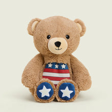 Load image into Gallery viewer, WARMIES - USA BEAR