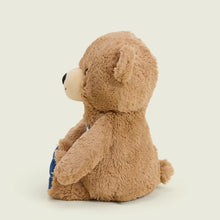Load image into Gallery viewer, WARMIES - USA BEAR