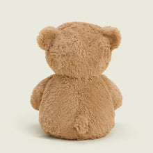 Load image into Gallery viewer, WARMIES - USA BEAR