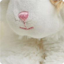 Load image into Gallery viewer, WARMIES - CALICO CAT