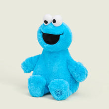 Load image into Gallery viewer, WARMIES - COOKIE MONSTER