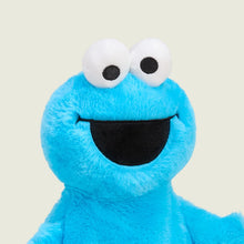 Load image into Gallery viewer, WARMIES - COOKIE MONSTER