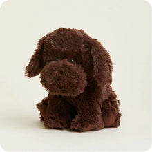 Load image into Gallery viewer, WARMIES - CHOCOLATE LABRADOR