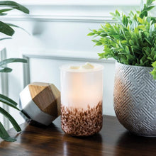 Load image into Gallery viewer, TIGER SHELL WAX WARMER