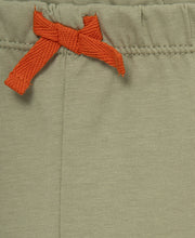 Load image into Gallery viewer, 3pc. DINO JOGGER & SOCK SET