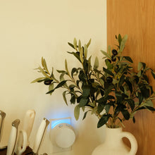 Load image into Gallery viewer, SWEET GRACE PURA+SMART HOME DIFFUSER SET