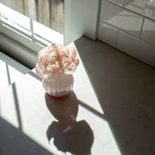 Load image into Gallery viewer, SWEET GRACE FLOWER DEFUSER