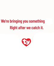 Load image into Gallery viewer, TY BEANIE BOUNCER CHATTER