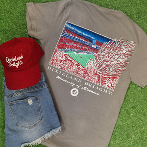 DIXIELAND DELIGHT STADIUM TEE