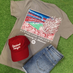 DIXIELAND DELIGHT STADIUM TEE