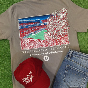 DIXIELAND DELIGHT STADIUM TEE