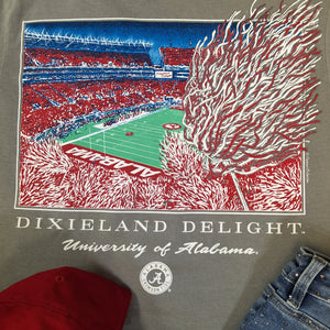 DIXIELAND DELIGHT STADIUM TEE