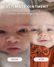 Load image into Gallery viewer, NOODLE &amp; BOO ULTIMATE BABY OINTMENT 3.4 oz

