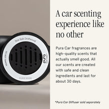 Load image into Gallery viewer, SEA SALT DRIFTWOOD PURA CAR CARTRIDGE
