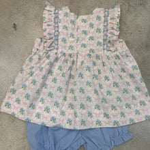 Load image into Gallery viewer, DELTA BLOOMER SET PORCH PETAL
