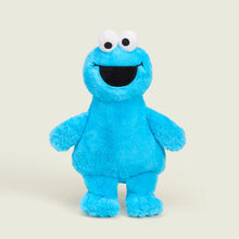 Load image into Gallery viewer, WARMIES - COOKIE MONSTER

