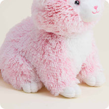Load image into Gallery viewer, WARMIES - PINK KITTEN
