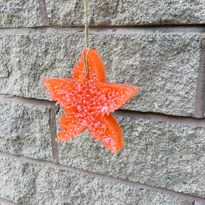 CORAL STARFISH CAR FRESHIE