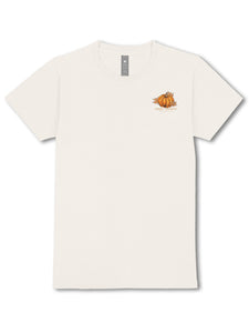 TEDDY FALL