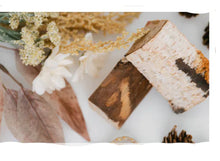 Load image into Gallery viewer, MASCULINE HOLLOWOOD CAR DIFFUSER
