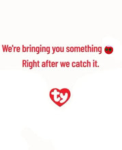 Load image into Gallery viewer, TY BEANIE BOUNCER CRYSTAL
