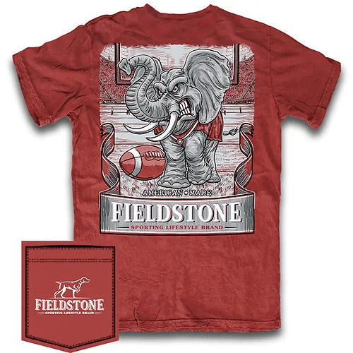 GAME DAY TEE CRIMSON - YOUTH